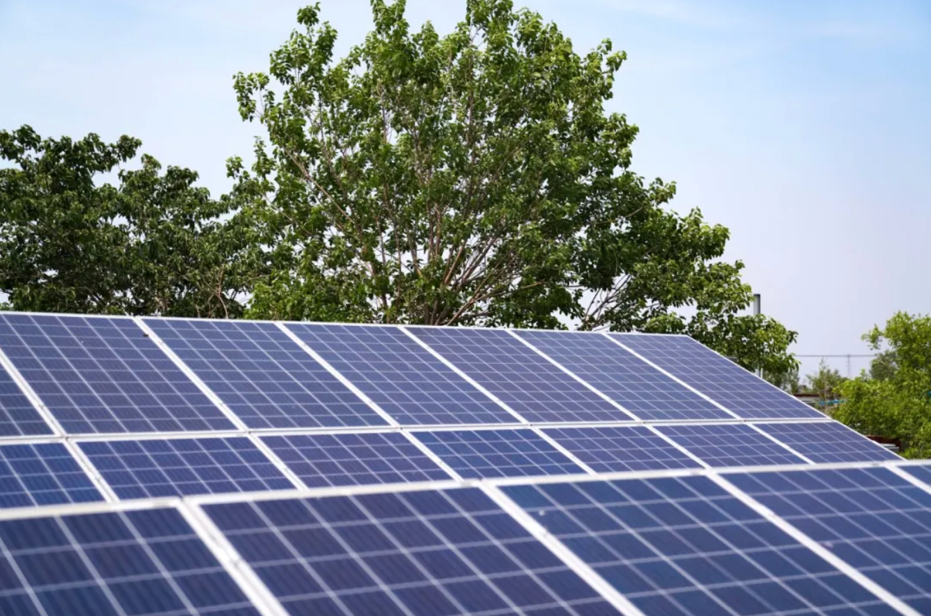 又一利好！《关于促进可再生能源绿色电力证书市场高质量发展的意见》出台