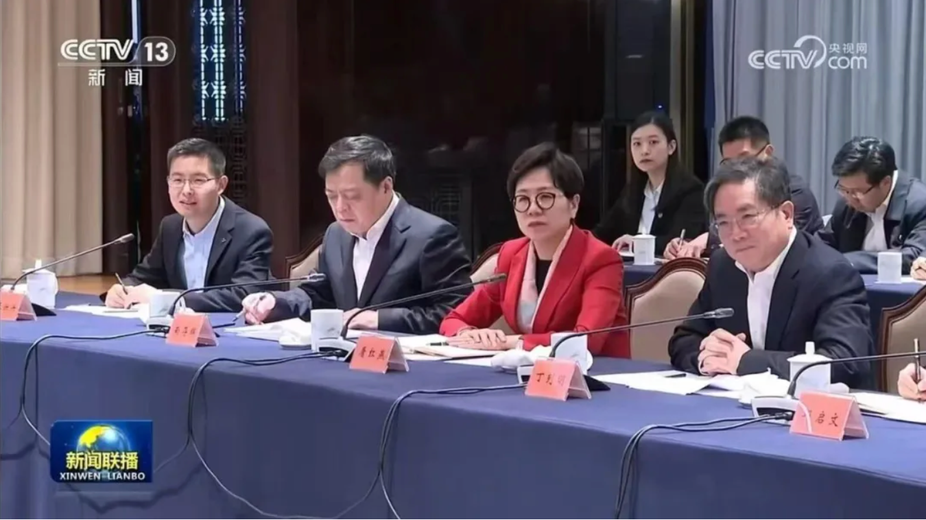 南存辉参加总理座谈会发言：以新质生产力推进新型工业化