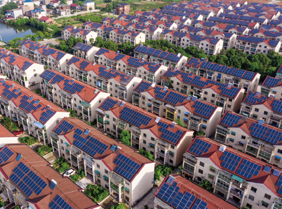 @所有人 低碳环保还能增收，快来打卡&ldquo;浙&rdquo;里闪光点