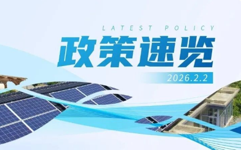 2月政策速览 | 风、光装机再创历史新高，实现大规模、高比例跃升式发展
