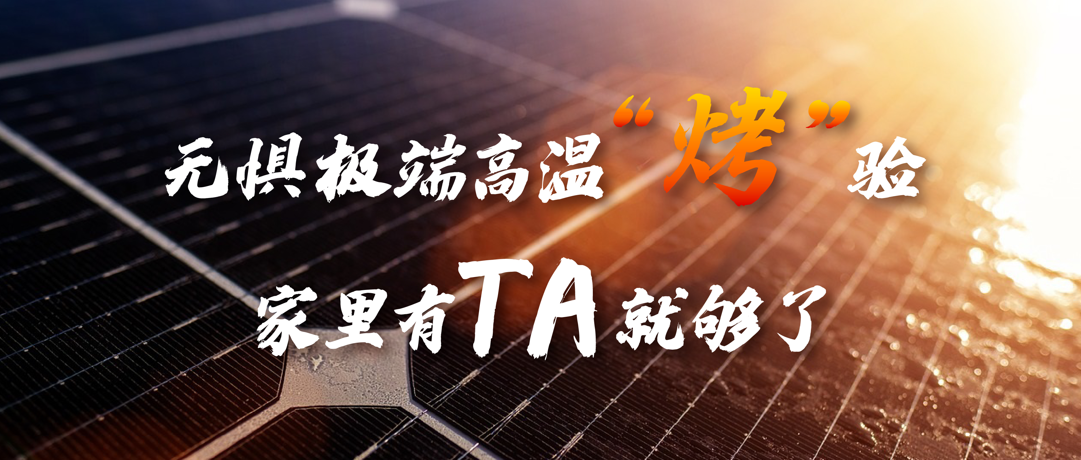 无惧极端高温&ldquo;烤&rdquo;验，家里有TA就够了