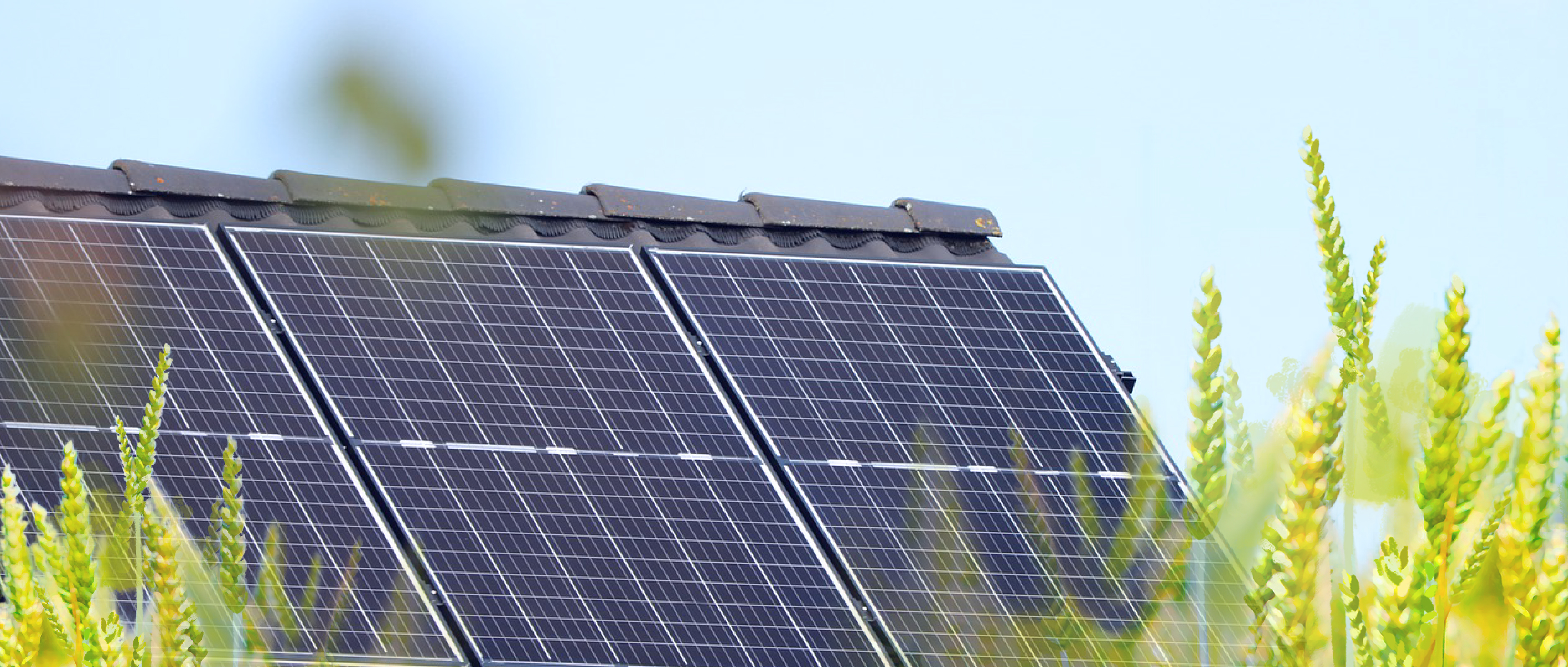 屋 顶 晒 秋 阳 ， 收 获 好&ldquo;丰&rdquo;光