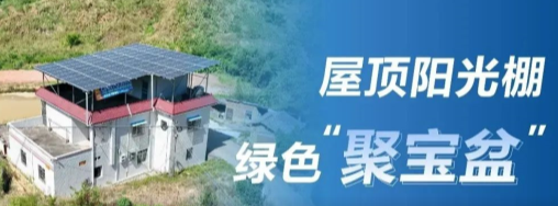 中国新闻网：正泰安能阳光棚成广东龙川用户&ldquo;聚宝盆&rdquo;