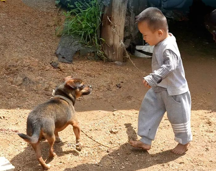 屋顶看乡村 | 幼有所长！&ldquo;沐光庭&rdquo;点亮留守儿童阳光未来