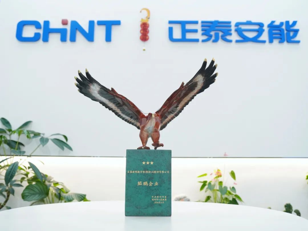 &ldquo;泰&rdquo;赞了！正泰安能再获&ldquo;鲲鹏企业&rdquo;荣誉称号